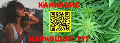 индика Обнинск