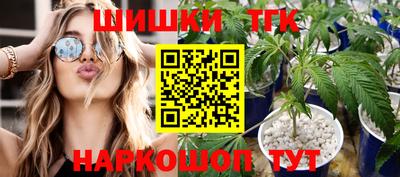 индика Обнинск