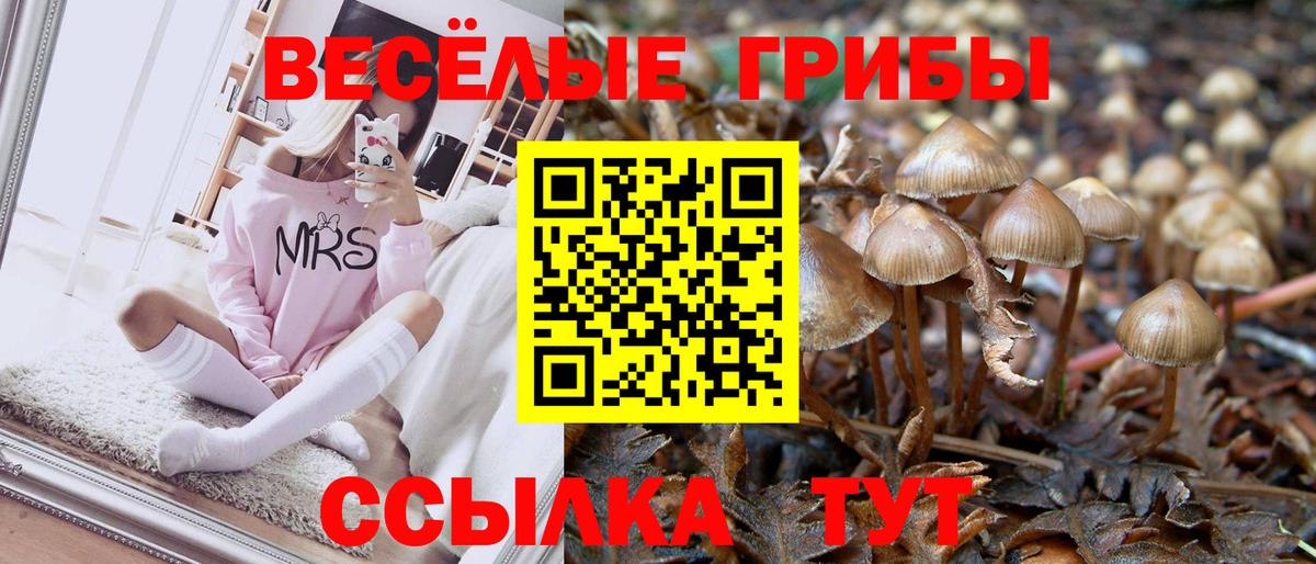 Галлюциногенные грибы прущие грибы  где продают наркотики  Сызрань  Вход с VPN 