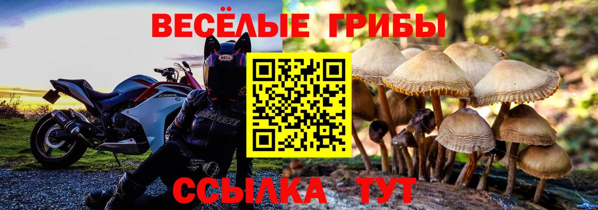 Псилоцибиновые грибы прущие грибы Сызрань